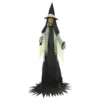 Animeret Gigantisk Heks Prop