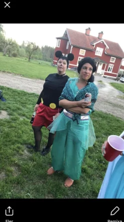 Arabisk Prinsesse Kostume Budget