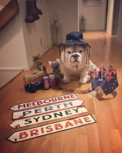 Australske Vejskilte Dekoration