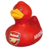 Badeand Arsenal