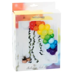 Ballonbue Regnbue