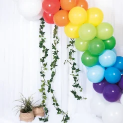 Ballonbue Regnbue