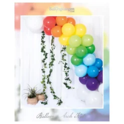 Ballonbue Regnbue
