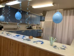 Balloner Lyseblå