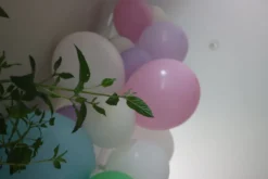 Balloner Pastel Flerfarvede