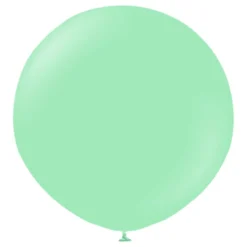 Balloner Professional Superstore Mintgrøn