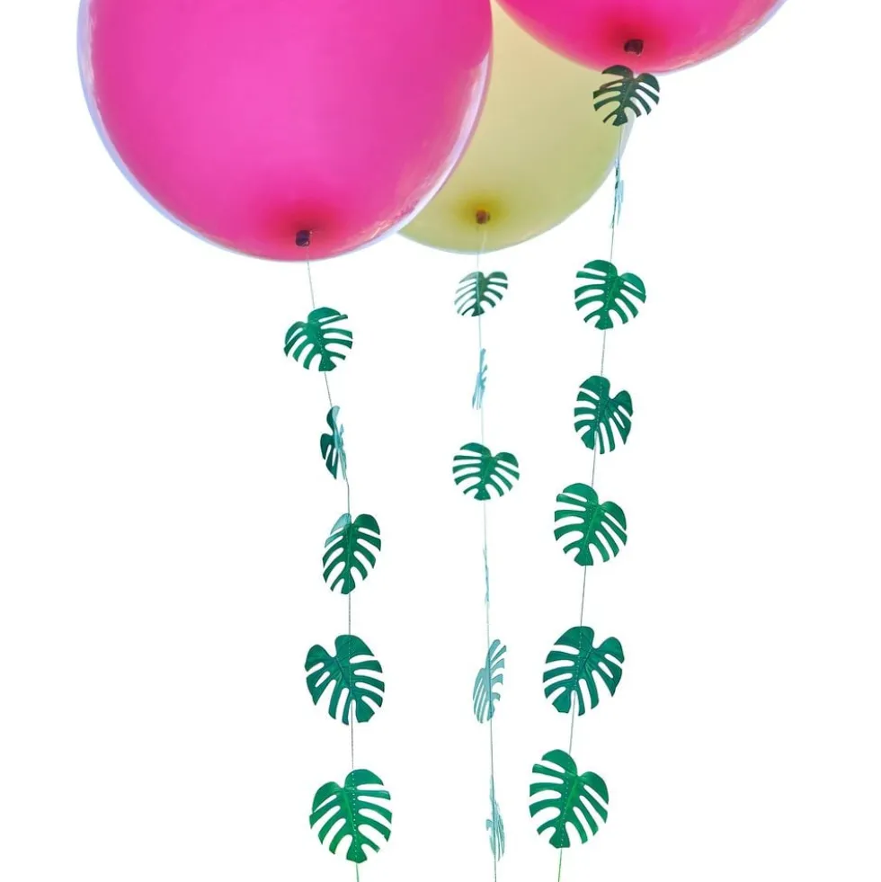 Ballonhaler Hawaii