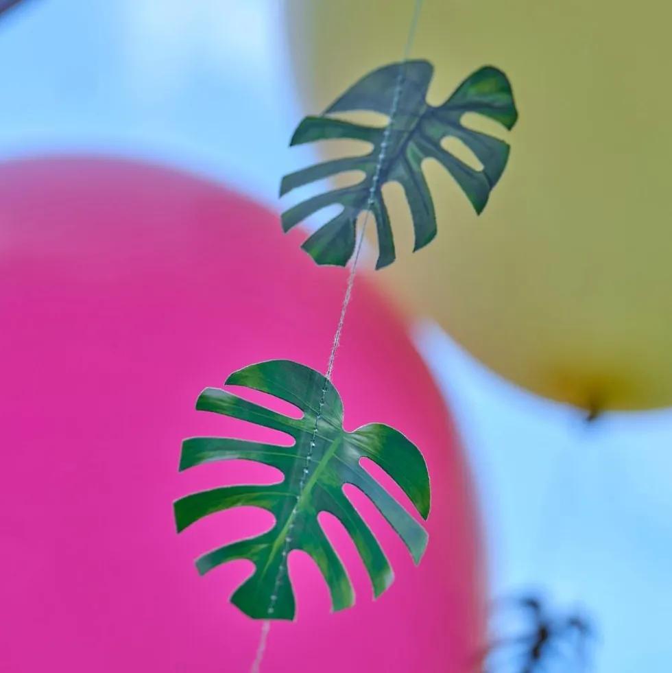 Ballonhaler Hawaii