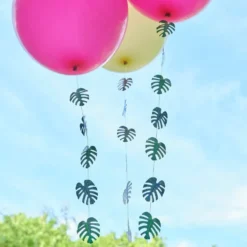 Ballonhaler Hawaii