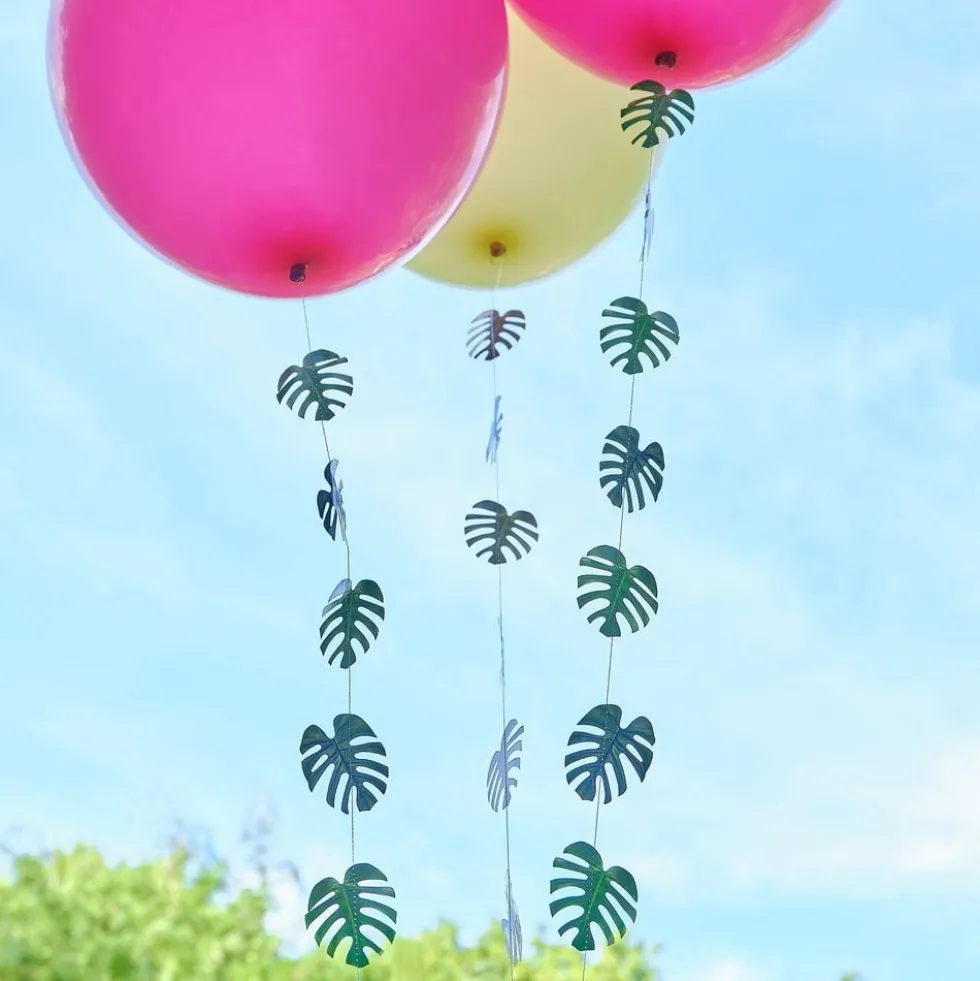 Ballonhaler Hawaii