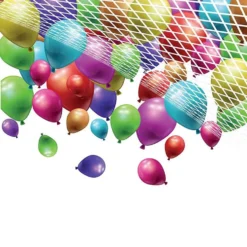 Ballonnet