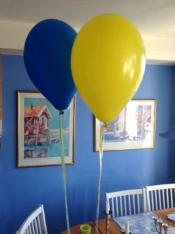 Ballonsnor Lyseblå