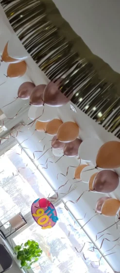 Ballonsæt Loft Blush