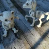 Bamse Skelet Prop