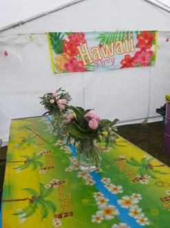 Banner Hawaii Party
