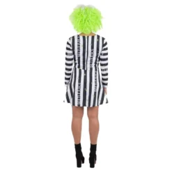 Beetle Lady Kostume