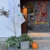 Behåret Edderkop