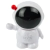 Blyantspidser Astronaut