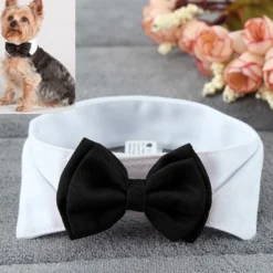 Butterfly til Hund