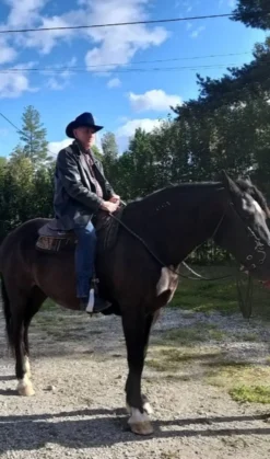 Cowboyhat Sort Deluxe
