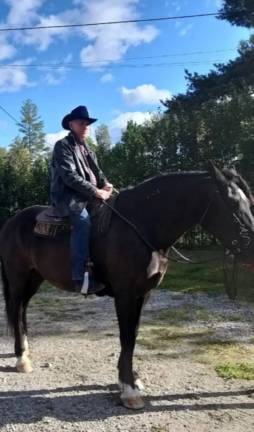 Cowboyhat Sort Deluxe