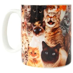 Crazy Cat Lady Krus