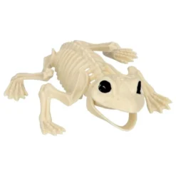 Dyreskelet Frø Dekoration