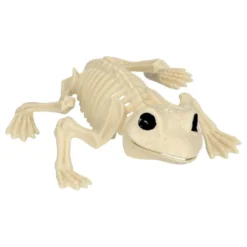 Dyreskelet Frø Dekoration