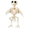 Dyreskelet Fugl Dekoration