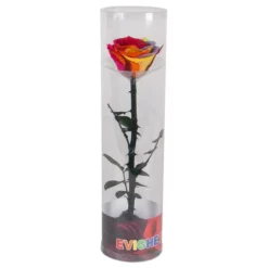 Evighedsrose