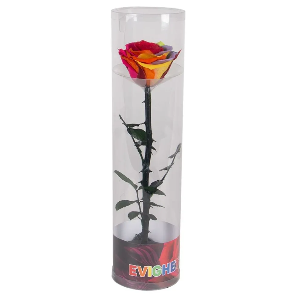 Evighedsrose