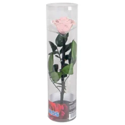 Evighedsrose