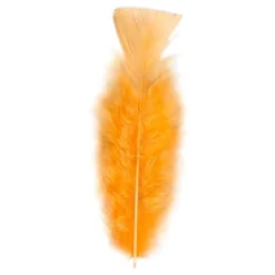 Fjer Orange
