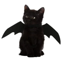 Flagemusevinger til Kat