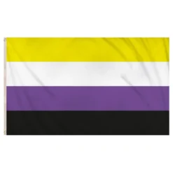 Flag Nonbinary Pride