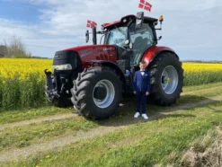 Flag på Pind Danmark