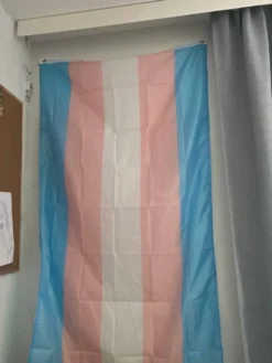 Flag Transgender
