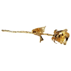 Forgyldt Rose