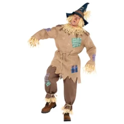 Fugleskræmsel Kostume