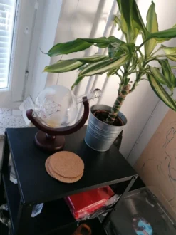 Globe Karaffelsæt
