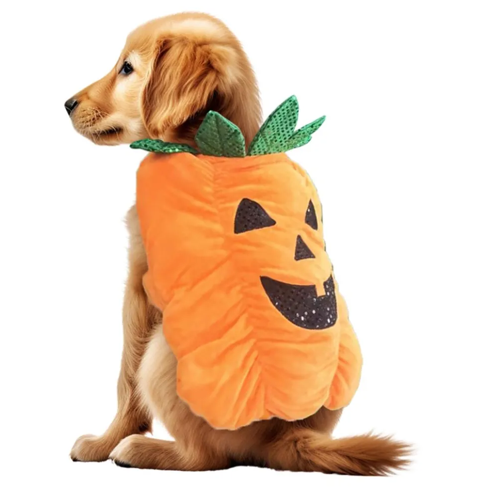 Græskar Kostume til Hund