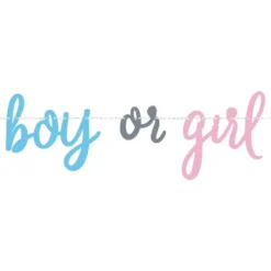 Guirlande Gender Reveal Boy or Girl