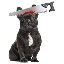 Halloween Props til Hunde