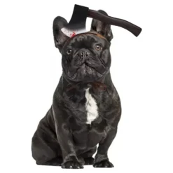 Halloween Props til Hunde
