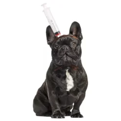 Halloween Props til Hunde