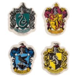 Harry Potter Viskelædere