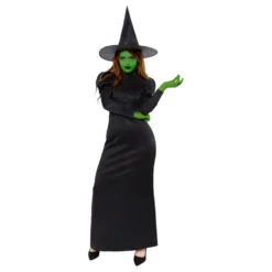 Heksekjole Kostume