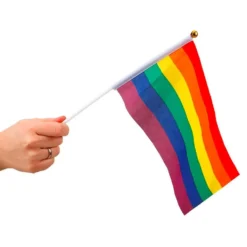 Håndflag Pride Flag