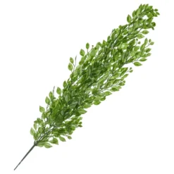 Hængende Blade Grønne