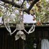 Hængende Skeletflagermus Prop
